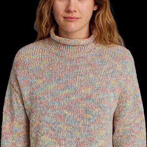 Multicolor Knit Turtleneck Sweater 2X